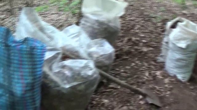 Мульча. Где добыть мульчу весной.