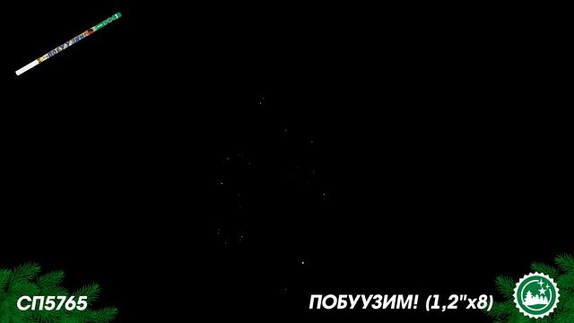 СП5765 смотреть онлайн