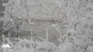 Winter Morning in a Georgian Village | 4K Relaxing Views