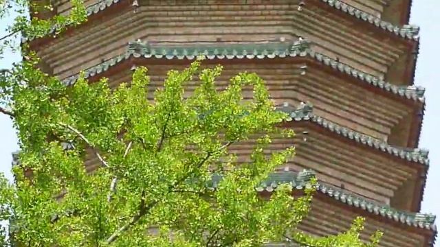 八大处 Badachu 5 смотреть онлайн