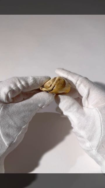 Lot 32: TOMOTADA: A SUPERB IVORYNETSUKE OF A RECUMBENT COW смотреть онлайн