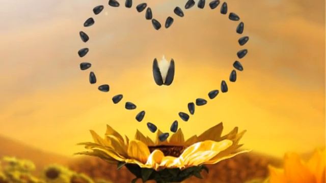 Semetschki Beloserskie Семечки Белозерские смотреть онлайн