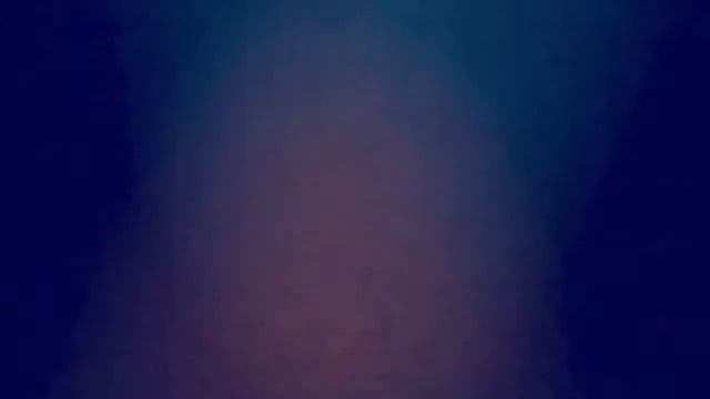 Социальная сеть НАСВЯЗИ с криптовалютой АБСОЛЮТМИ: успехом пахнет сеть НАСВЯЗИ, там очень просто вс смотреть онлайн