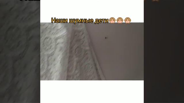 ВЛОГ 1.ВЫХОДНЫЕ.БУНГАЛО С ТАРАКАНАМИ. смотреть онлайн