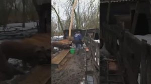Когда ты бывший военный.🤣🤣🤣🤣🤣🤣🤣🤣