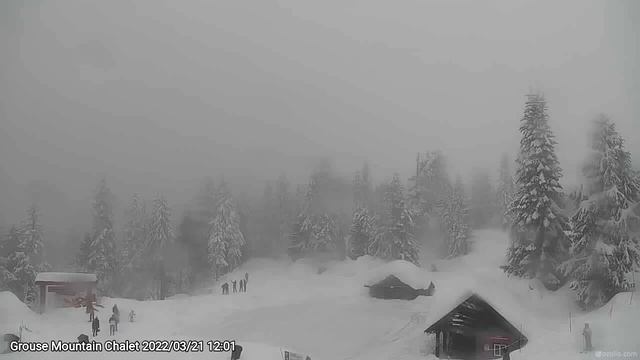 Grouse Mountain Chalet 2022/03/21 смотреть онлайн
