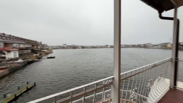 ЭЛЛИНГ Дельфин смотреть онлайн