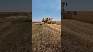 Зерноуборочный комбайн nova Нова 340 рсм и Нью Холланд ТС 4.90 убираем пшеницу