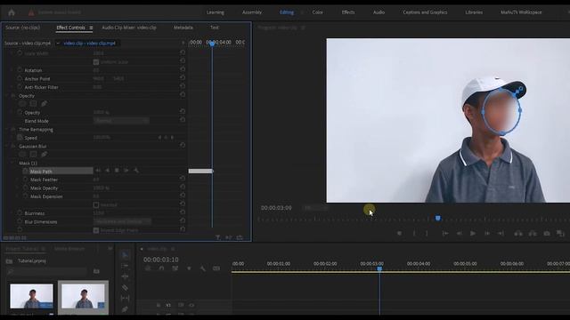 How To Blur Face Using Adobe Premiere Pro | Quick & Easy Tutorial | Sinhala смотреть онлайн