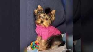 Стеше 1 год 🥳🥳🥳🥳