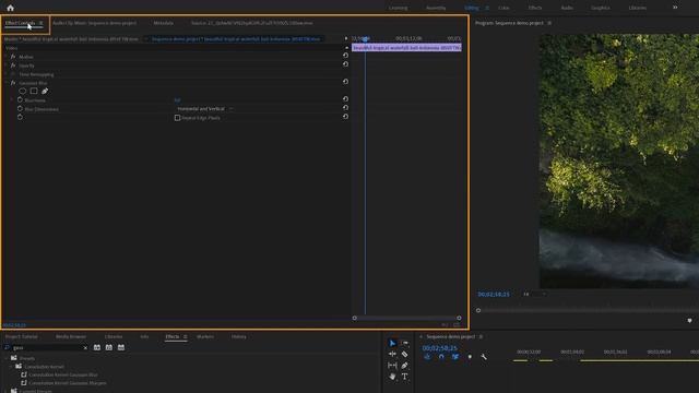 Learn the Premiere Pro Basics in 20 Minutes | Tutorial for beginners