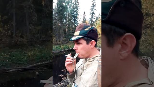 Охота на рябчика. Р.Пытьяшка сентябрь 2018 рыбалка смотреть онлайн