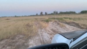 Дорога в Новосельское, Бурлинский район, Алтайский край