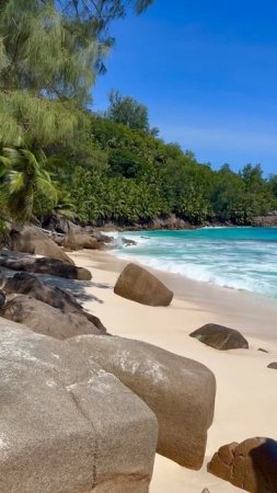 Seychelles beach #seychelles #paradise #ocean #beach