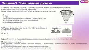 ВПР Биология 6 класс 2025