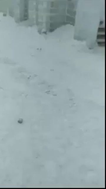 Как на севере: новосибирцы на видео превращают кипяток в лёд смотреть онлайн