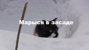 Марыся в засаде