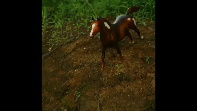 Фото подборка "Брейер" #2