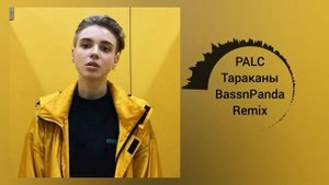 PALC - Тараканы (BassnPanda Remix)