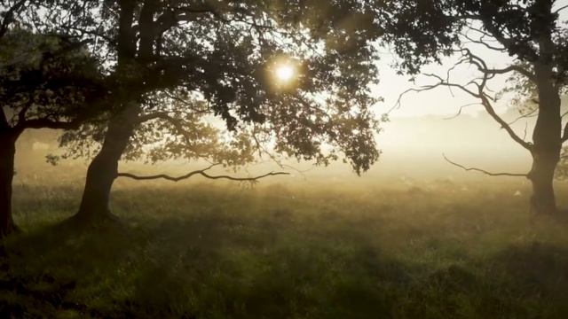 Дочь отдала нить жизни для чужой девочки и после этого ни один врач не смог ей помочь. Аудиорасска смотреть онлайн
