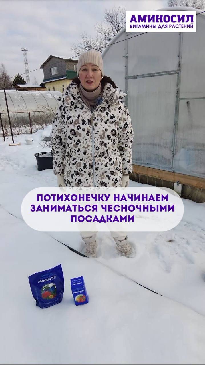 Грядки с чесноком, что делать?