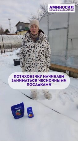 Грядки с чесноком, что делать?
