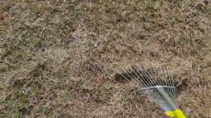 ГДЕ ВЗЯТЬ ИДЕАЛЬНУЮ МУЛЬЧУ РАННЕЙ ВЕСНОЙ ДЛЯ ТЕПЛИЦЫ И ГРЯДОК?