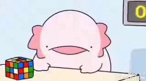 Фыр фыр фыр фыр (Аксолотль собирает кубик рубика 1 час)