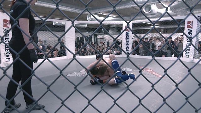 22.4.2017 MMA HardKnocks 10 . Male, C class, - 65.8 kg смотреть онлайн