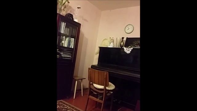 Пусик