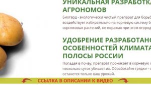 Препараты от сорняков под смородину