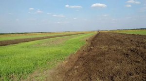 Т - 16 с плугом 2х25 часть 2