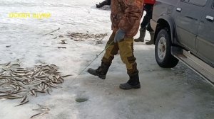 Весенняя рыбалка на льду. Джаорэ. Корюшка-зубатка.
