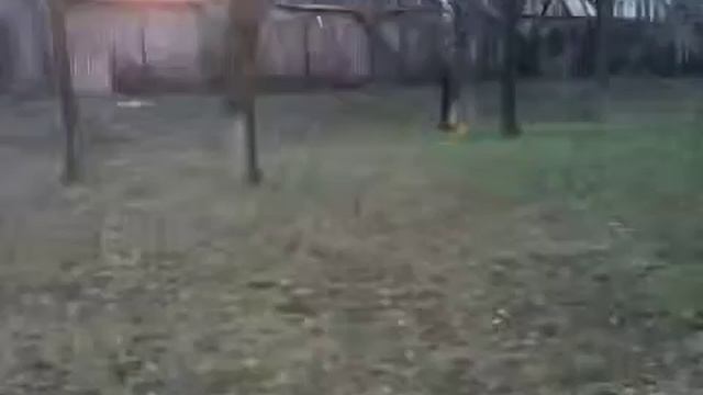 Утиная охота смотреть онлайн