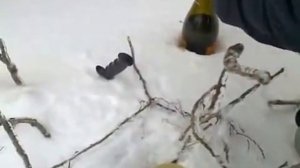 5# Как сделать ловушку лунку на куропаток_  How to make a trap for a grouse on a partridge