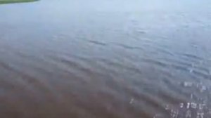 Коттеджный поселок "Лазурный берег". 4 сюжет