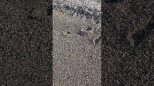 Обзор пляжа#Отель Sunshine Hotel 4****#Турция#Аланья#Махмутлар