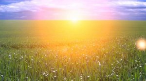 Музыка для сна и расслабления – успокаивающие звуки для релаксации и успокоения