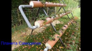 Клубника в трубах