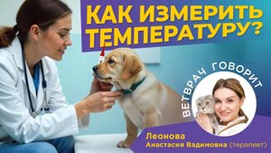 Советы ветеринара:Как измерить температуру собаке?
