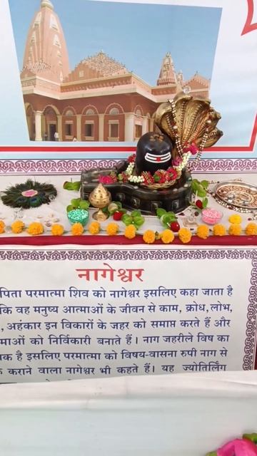 Nageshwar jyotirling #NageshwarJyotirling#nageshwarnath#nageshwartemple#harharmahadev #ytshorts#yts смотреть онлайн