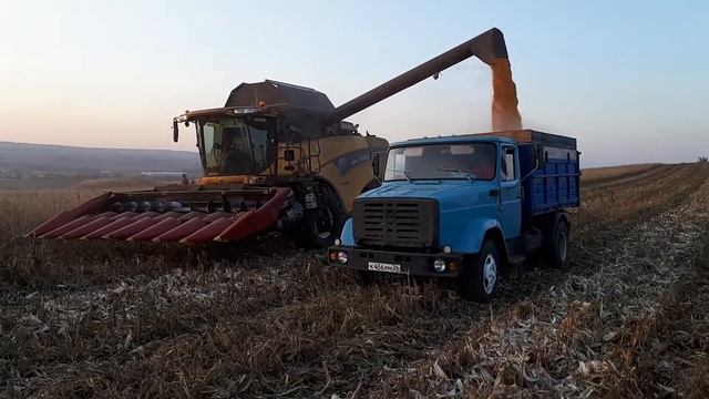 На уборке кукурузы смотреть онлайн