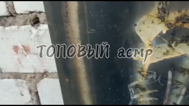 Обзоры/красотки/магнит/😂 смотреть онлайн