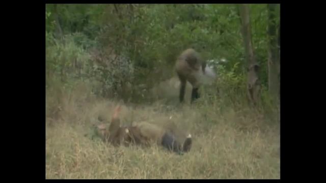 кум Микола в АТО 2 смотреть онлайн