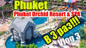 Обзор спустя 2 года и третий раз в Phuket Orchid Resort & SPA"