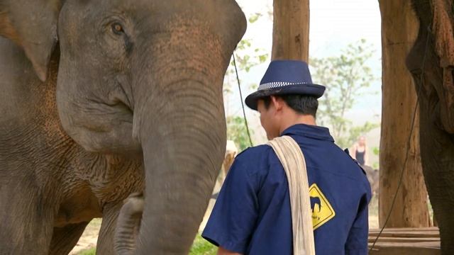Why Should Deforestation In Laos Concern Us? | Angry Planet смотреть онлайн