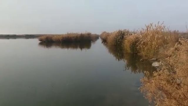 Спасение лебедя 2 смотреть онлайн