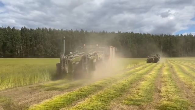 Уборка льна идет в Гродненской области смотреть онлайн
