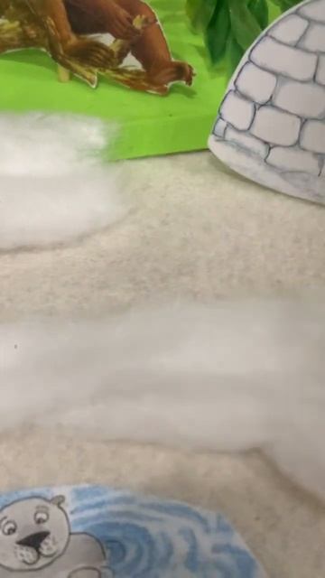 All habitats project| 4in1 project|#filmora |#habitats|#viral|#youtube|#school|#youtubeshorts смотреть онлайн