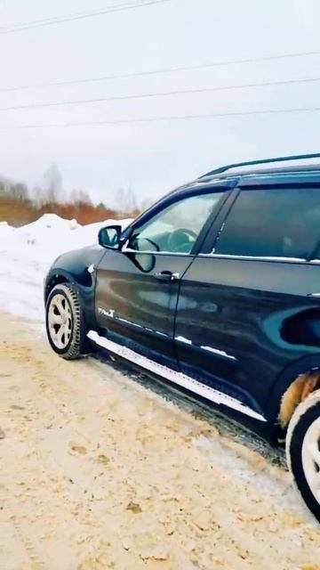 Bmw X5 e70 на дороге / что за лев этот тигр / #shorts смотреть онлайн